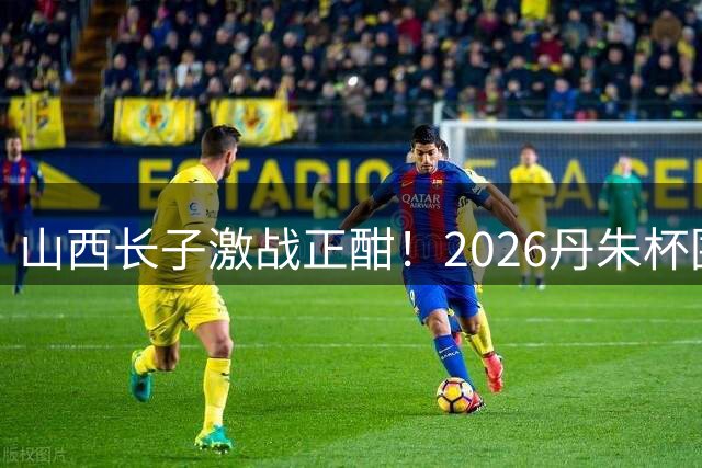 山西长子激战正酣！2026丹朱杯围棋赛首日对决揭晓