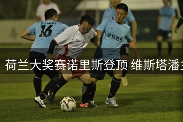 荷兰大奖赛诺里斯登顶 维斯塔潘主场遗憾退赛
